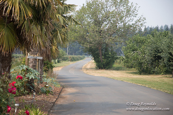 Malafy's Driveway