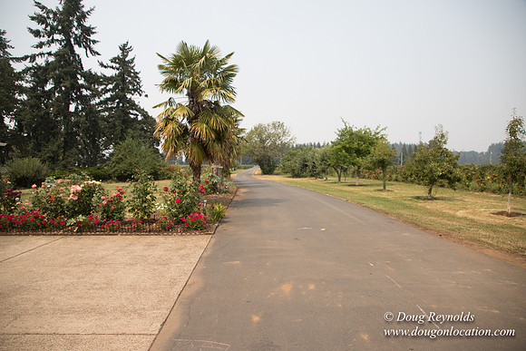 Malafy's Driveway