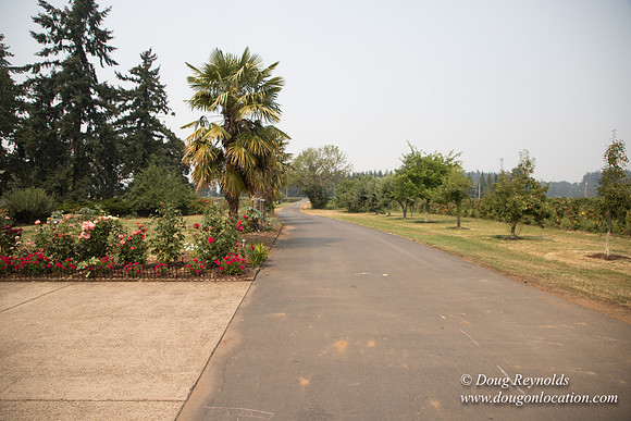 Malafy's Driveway
