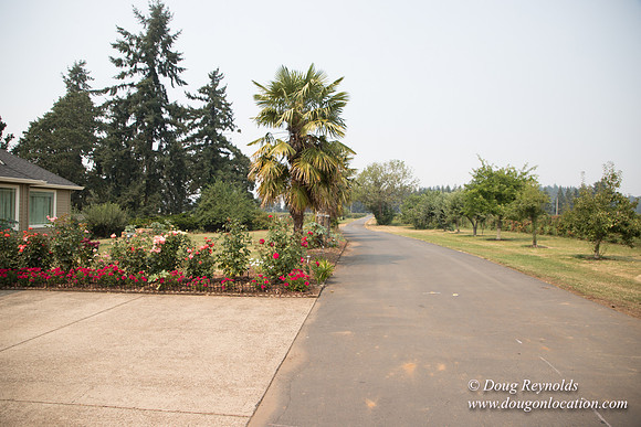 Malafy's Driveway
