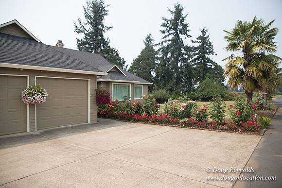 Malafy's Driveway