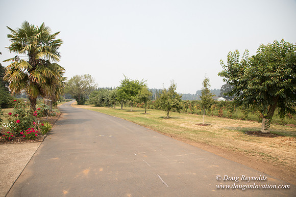 Malafy's Driveway