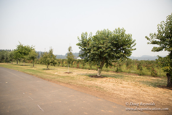 Malafy's Driveway