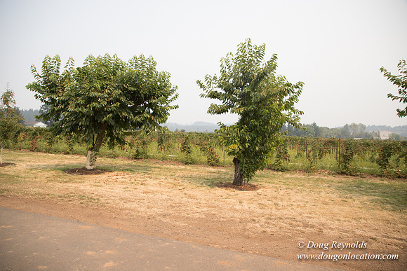 Malafy's Driveway