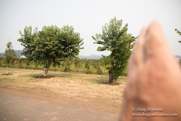 Malafy's Driveway