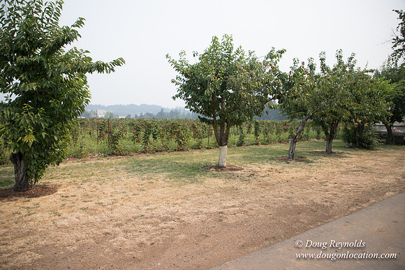 Malafy's Driveway