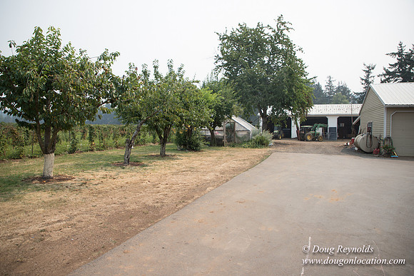 Malafy's Driveway