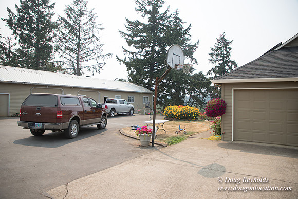 Malafy's Driveway