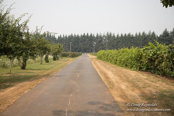 Malafy's Driveway