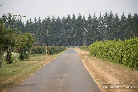Malafy's Driveway