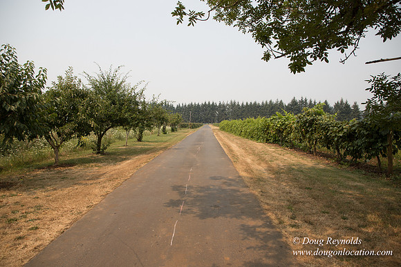 Malafy's Driveway