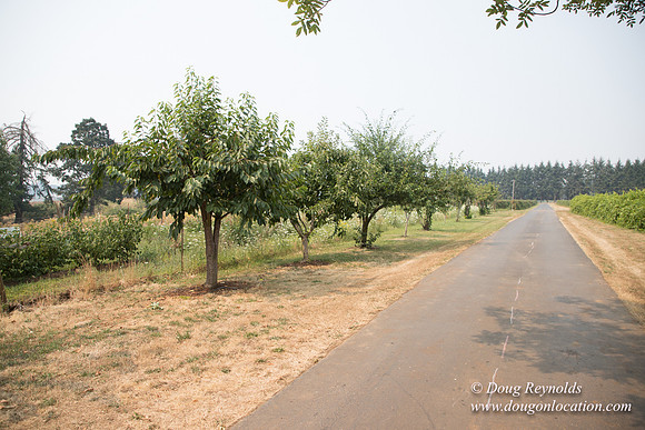 Malafy's Driveway