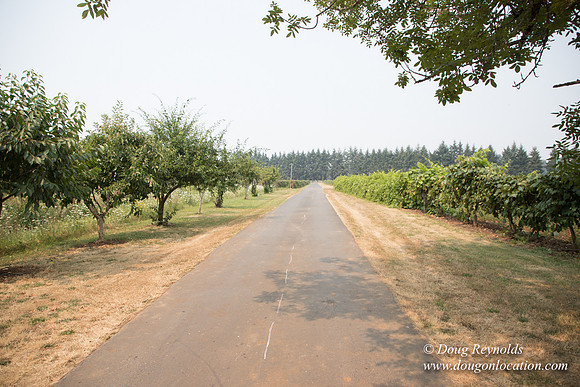 Malafy's Driveway
