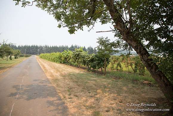 Malafy's Driveway