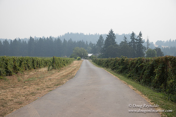 Malafy's Driveway