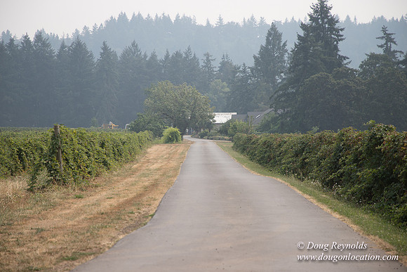 Malafy's Driveway