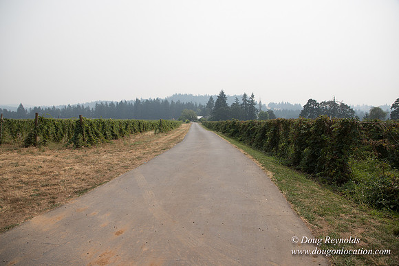 Malafy's Driveway