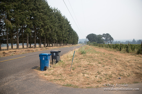 Malafy's Driveway