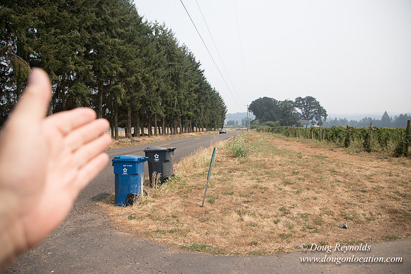 Malafy's Driveway