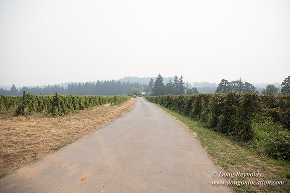 Malafy's Driveway
