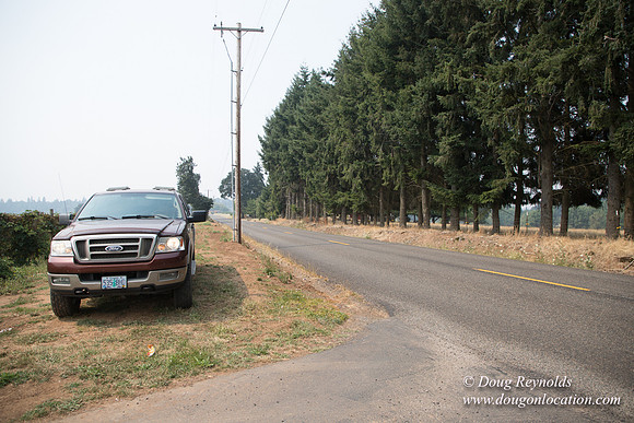 Malafy's Driveway