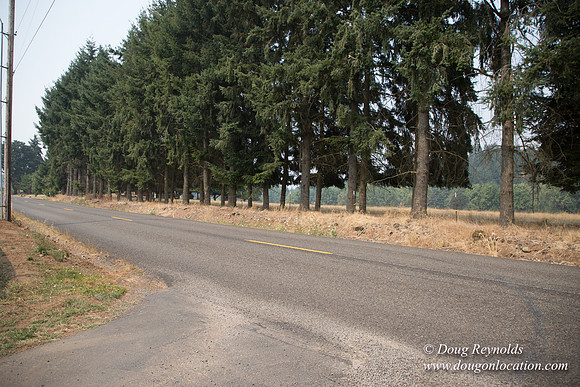 Malafy's Driveway