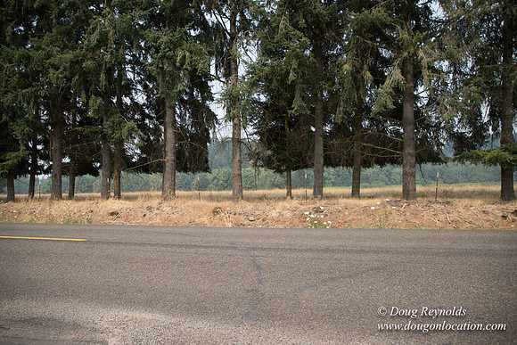 Malafy's Driveway