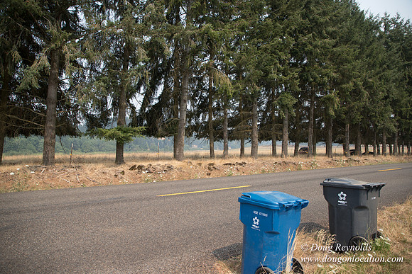 Malafy's Driveway