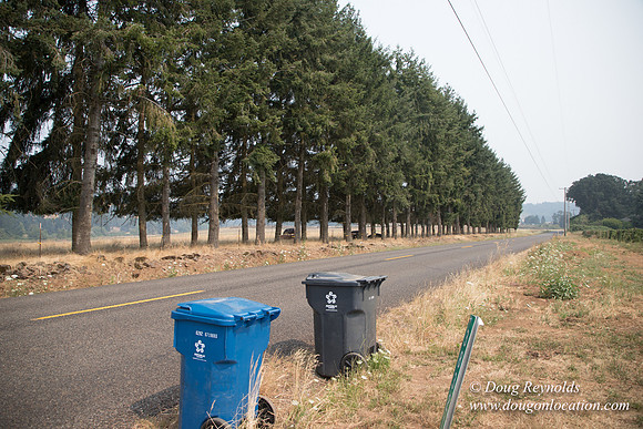 Malafy's Driveway