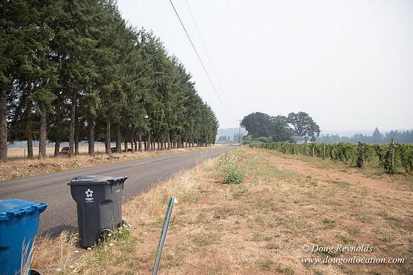 Malafy's Driveway