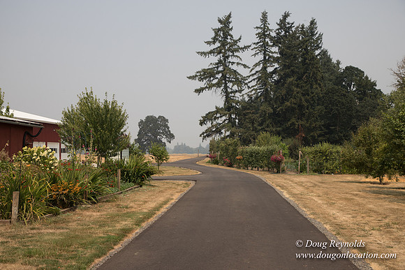 Mary's Driveway