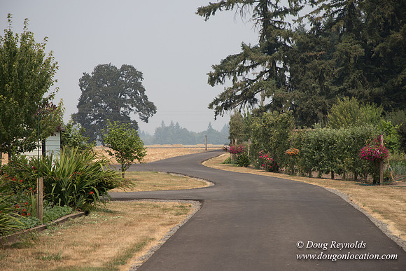 Mary's Driveway