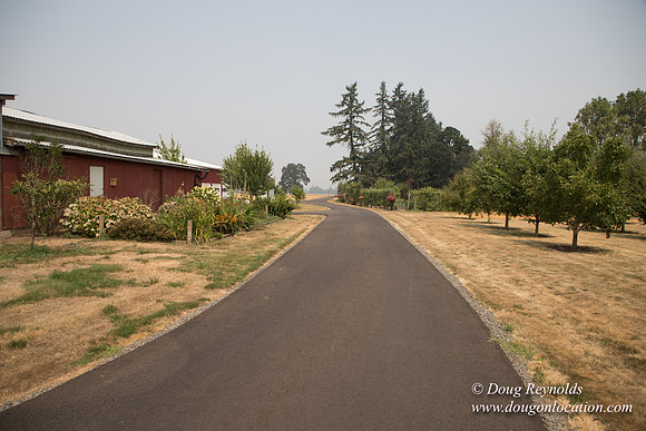 Mary's Driveway