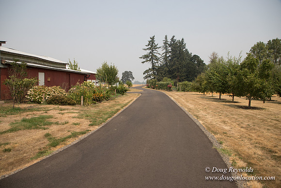 Mary's Driveway