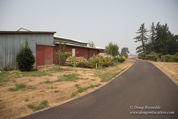 Mary's Driveway