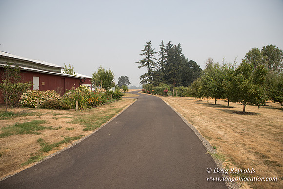 Mary's Driveway