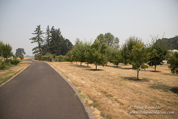 Mary's Driveway