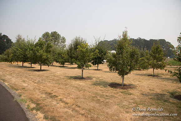 Mary's Driveway