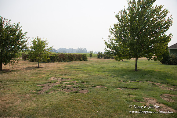 Mary's Driveway
