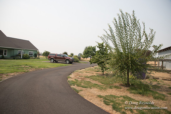 Mary's Driveway