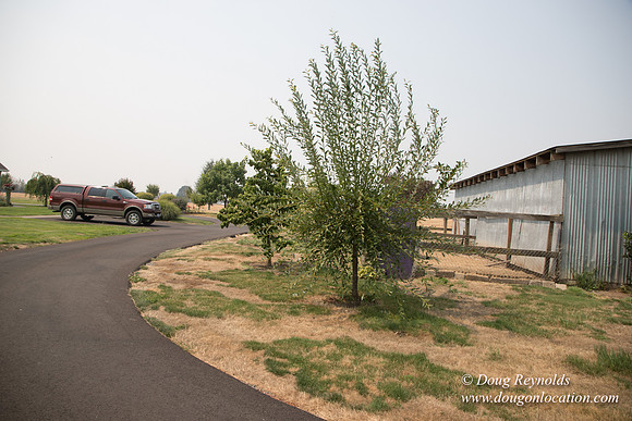 Mary's Driveway