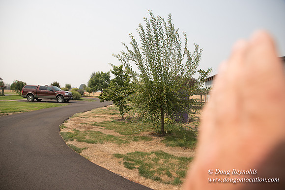 Mary's Driveway