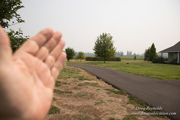 Mary's Driveway