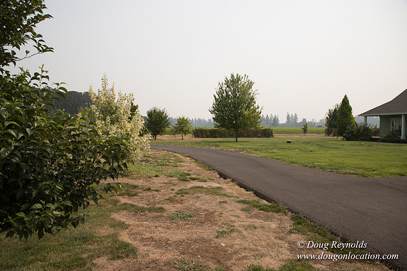 Mary's Driveway