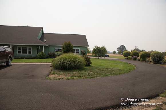 Mary's Driveway