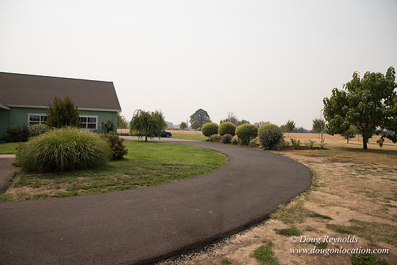 Mary's Driveway