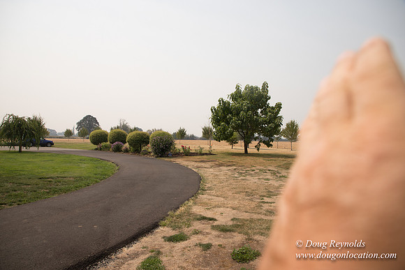 Mary's Driveway
