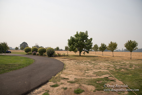 Mary's Driveway