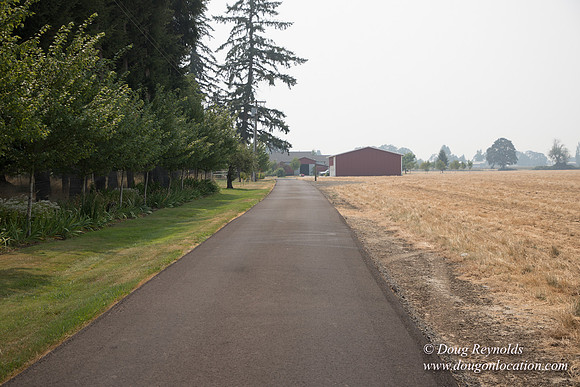 Mary's Driveway