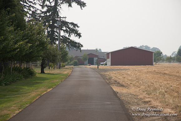 Mary's Driveway